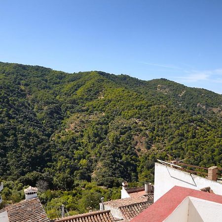 Casa La Parra Villa Jubrique Eksteriør bilde